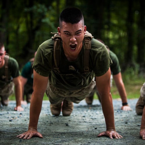 Male Soldier Doing Push Ups