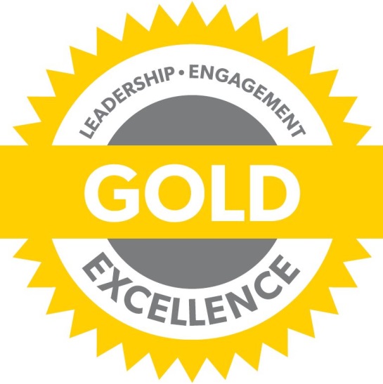 Gold Chapter Standards Medal - Leadership, Engagement, Excellence