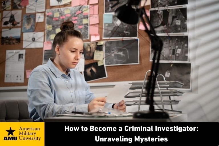 become-a-criminal-investigator criminal investigator reviewing data