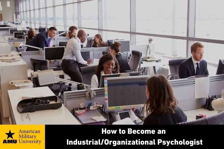 become-an-industrial-organizational-psychologist office workspace filled with employees