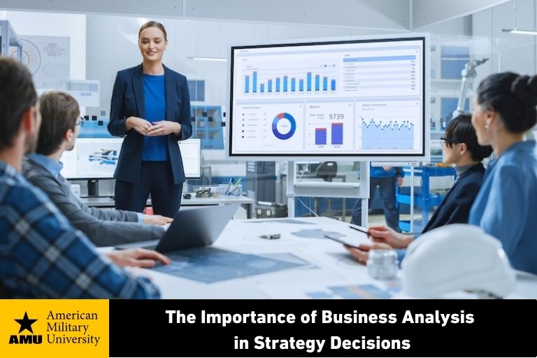 business-analysis business analysis professional