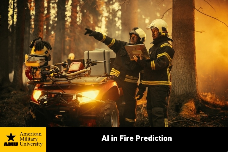 Fire-prediction AI in fire prediction