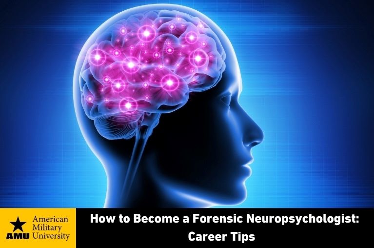 forensic-neuropsychologist illustration of neurological brainwaves highlighted in brain