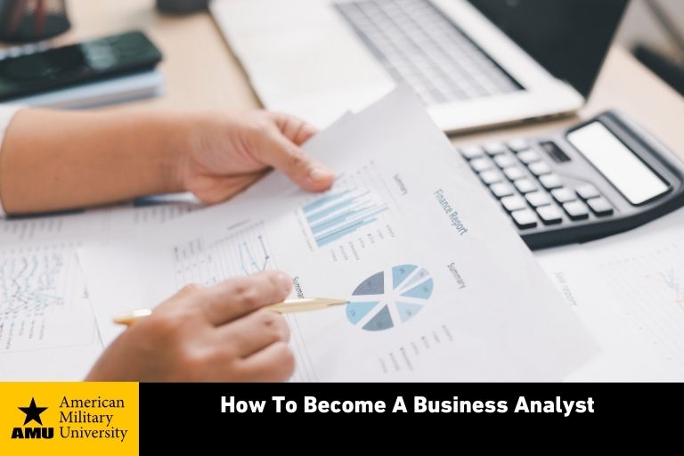 business analyst reviewing data