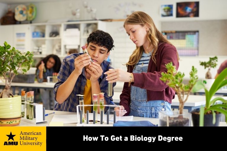 how-to-get-a-biology-degree How to get a biology degree?