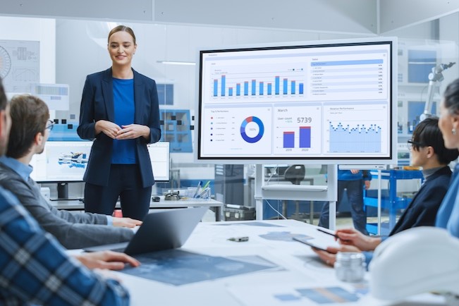 business analysis professional