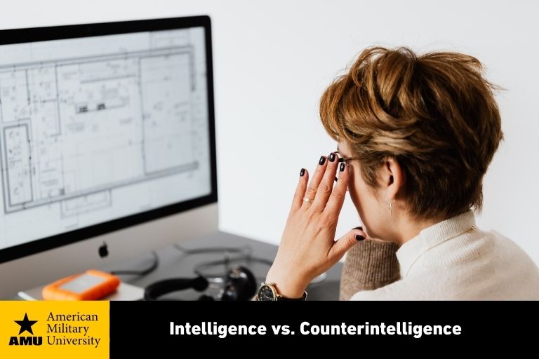 intelligence-vs-counterintelligence intelligence professional reviewing data on computer