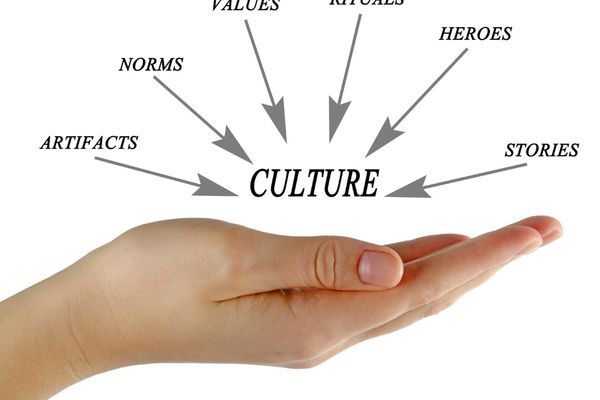 sociology degree requirements