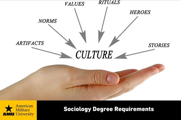 sociology degree requirements
