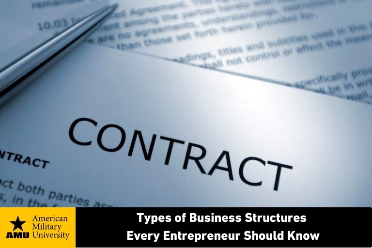 types-of-business-structures business structures contract