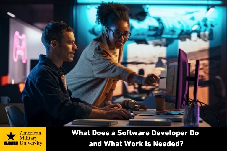 software developer at computer