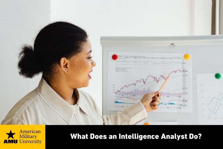 what-does-an-intelligence-analyst-do intelligence analyst reviewing data