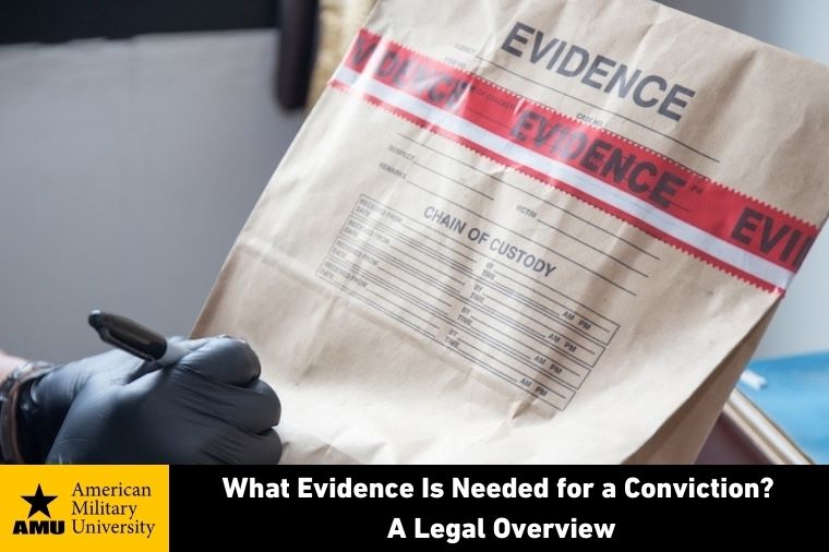 what-evidence-is-needed-for-conviction evidence in bag