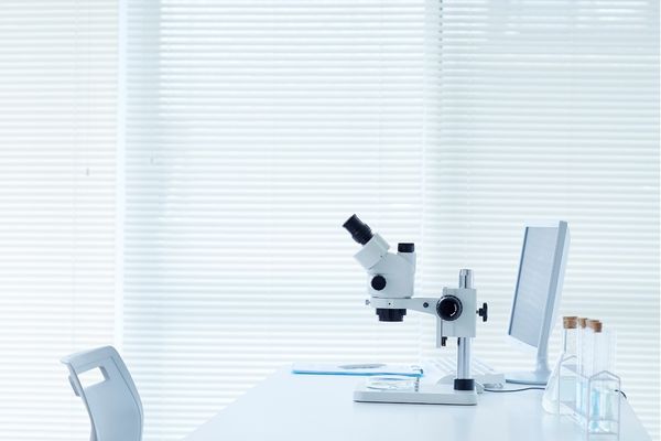 What is a biology degree?