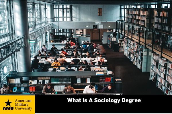 what-is-a-sociology-degree what is a sociology degree