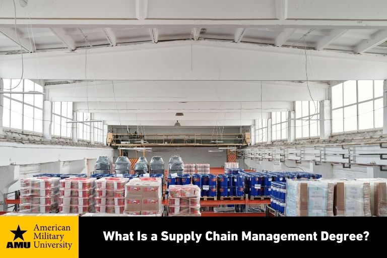 supply chain management degree