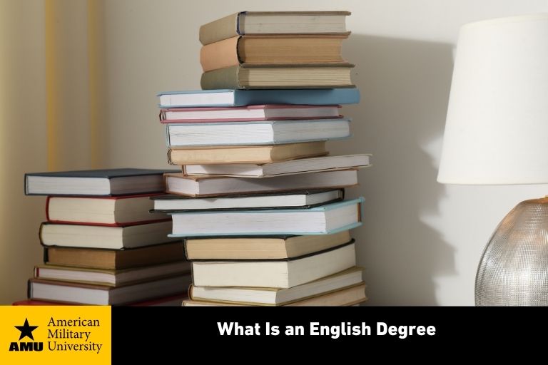 english degree student's stack of books