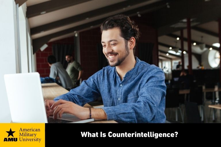 counterintelligence professional on laptop