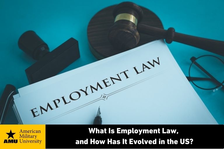 what-is-employment-law employment law written on legal document
