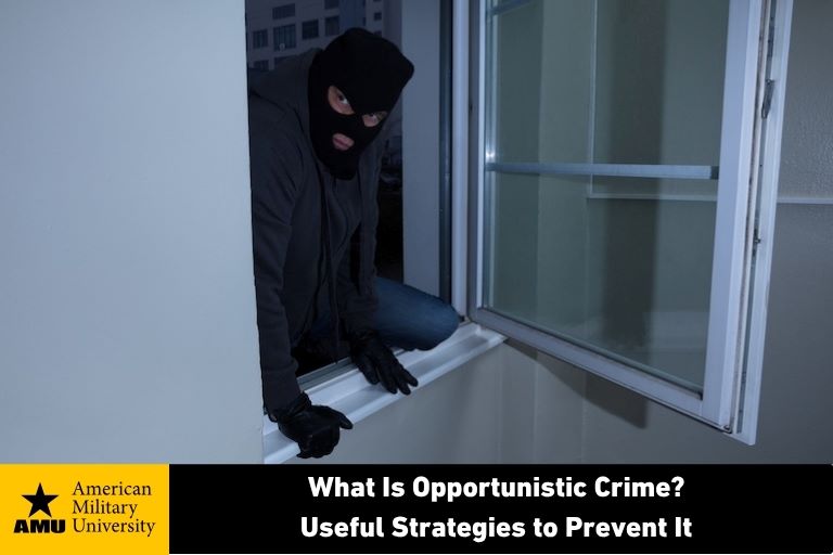 what-is-opportunistic-crime opportunistic criminal entering home through window