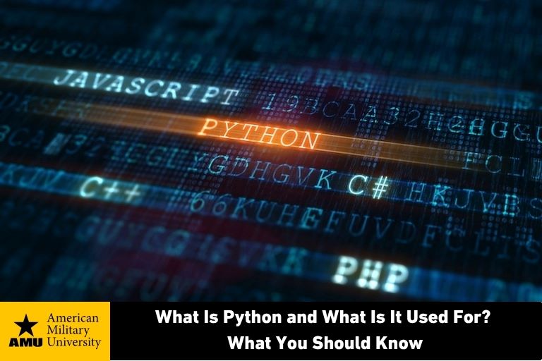 what-is-python-used-for python technical code