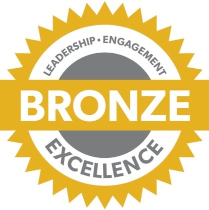 Bronze Chapter Standards Medal
